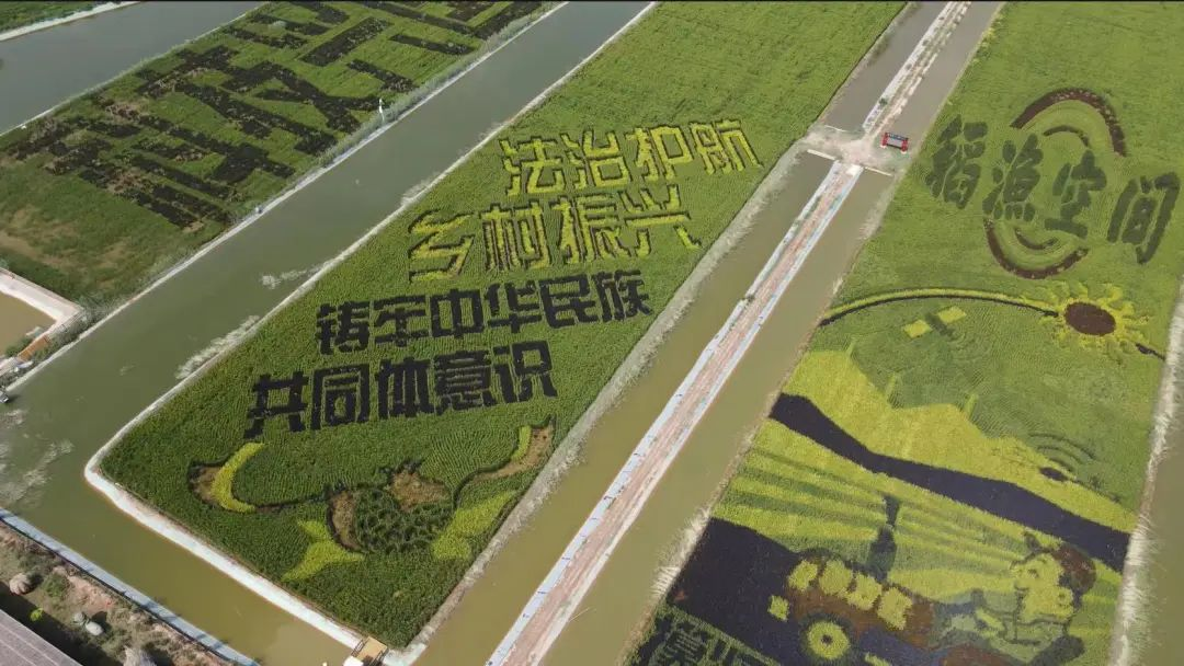 劲爆体育